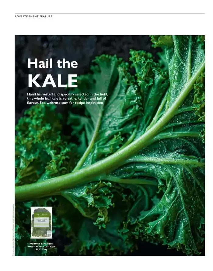 The Main Event from 14 November to 25 December 2024 - Catalogue Page 40