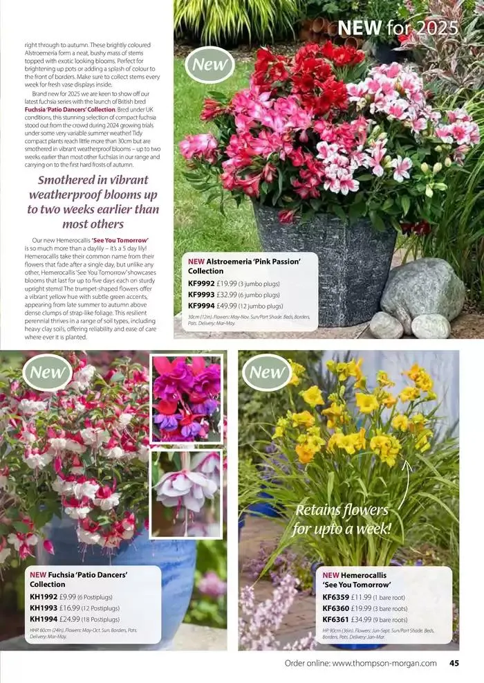 The Spring Catalogue from 20 March to 31 May 2025 - Catalogue Page 45