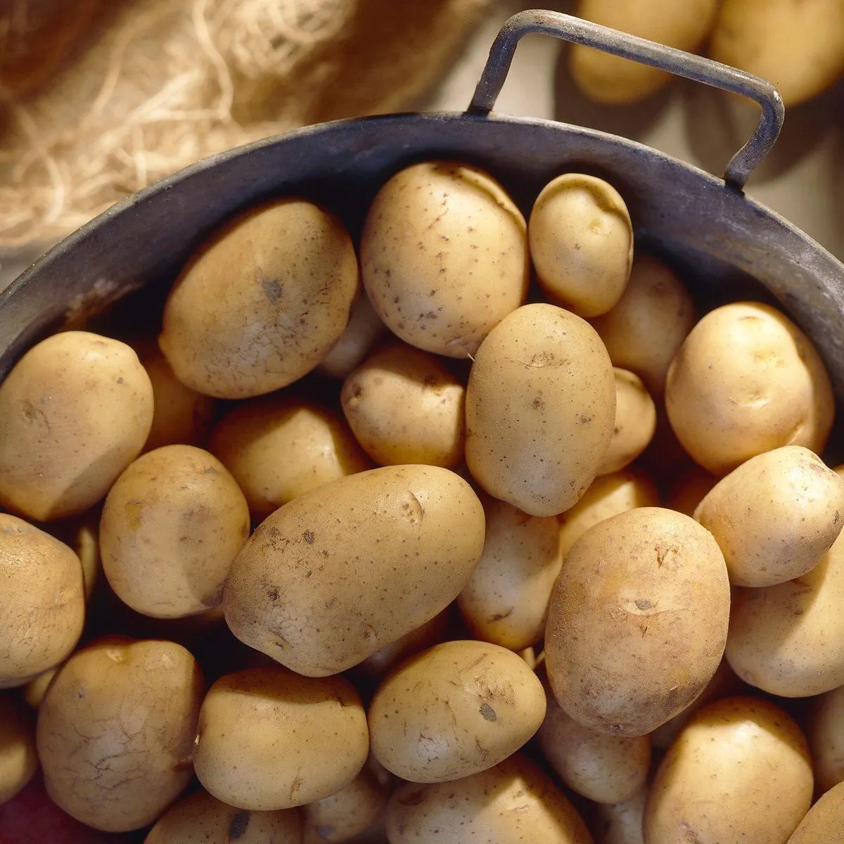 Charlotte Seed Potatoes 2kg