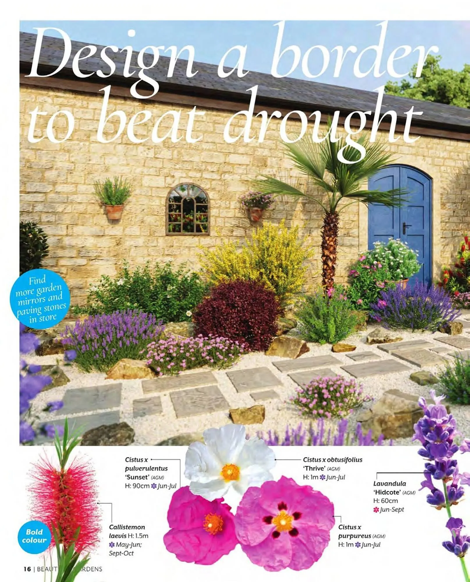 Squires Garden Centres leaflet from 1 March to 31 May 2024 - Catalogue Page 16