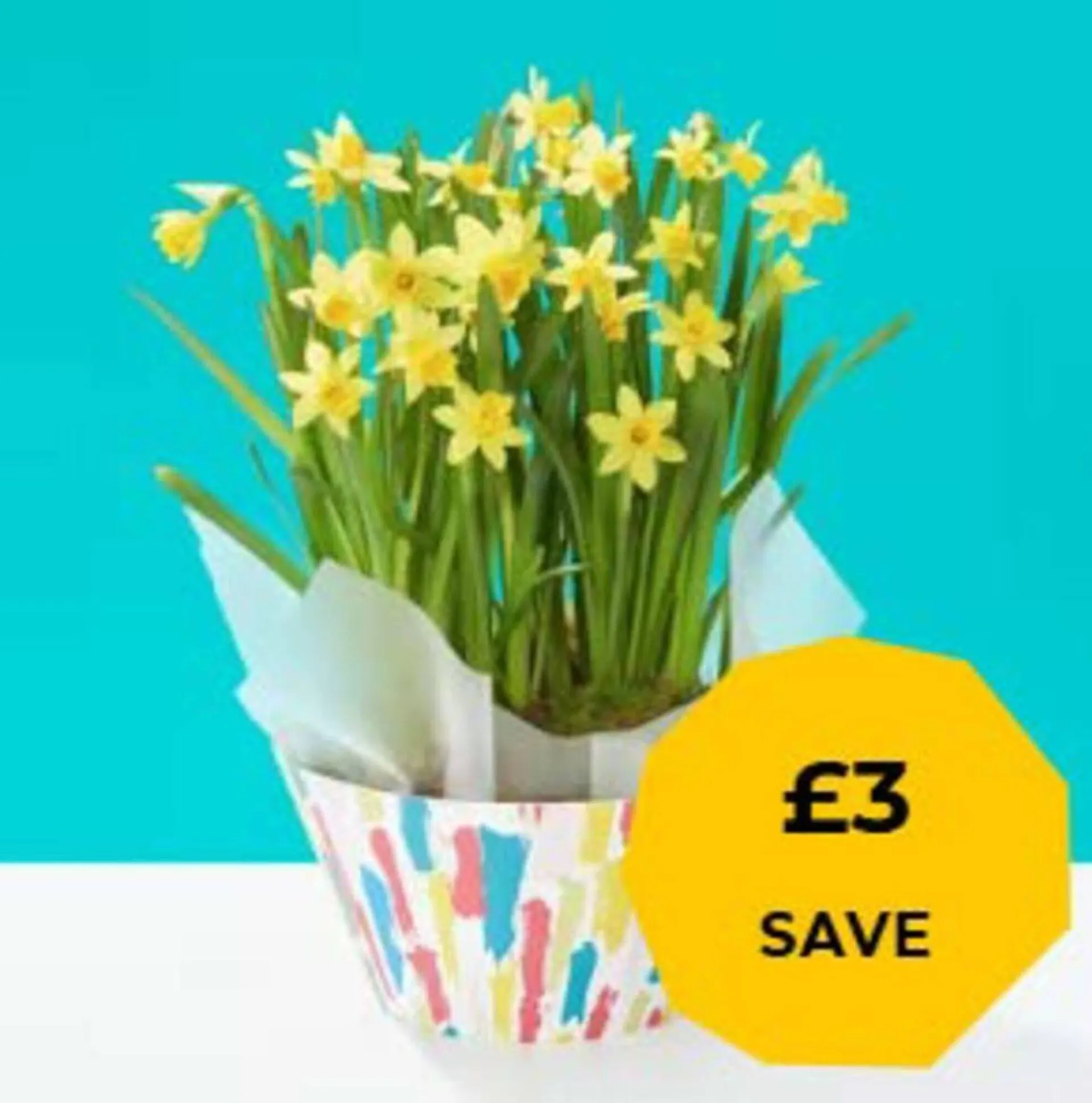 Flying Flowers leaflet from 26 January to 8 February 2026 - Catalogue Page 3