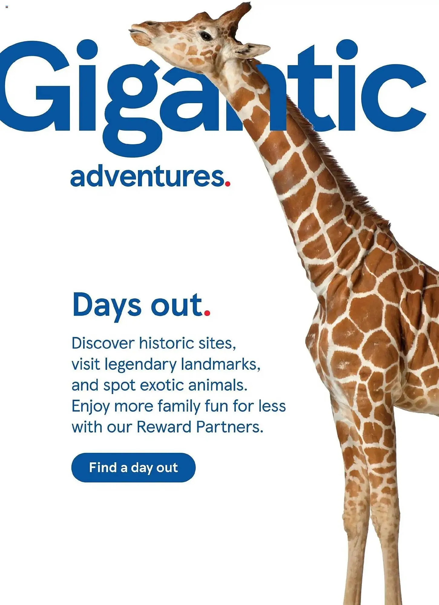 Tesco leaflet from 29 October to 1 February 2026 - Catalogue Page 28