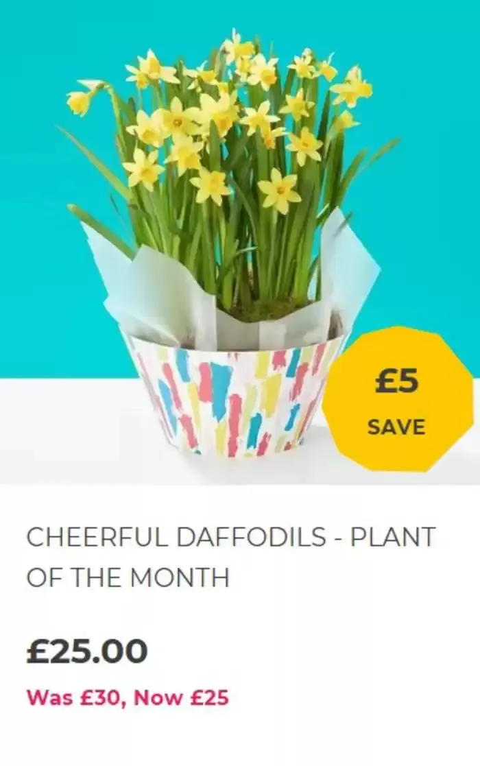 Offers from 27 January to 10 February 2025 - Catalogue Page 1