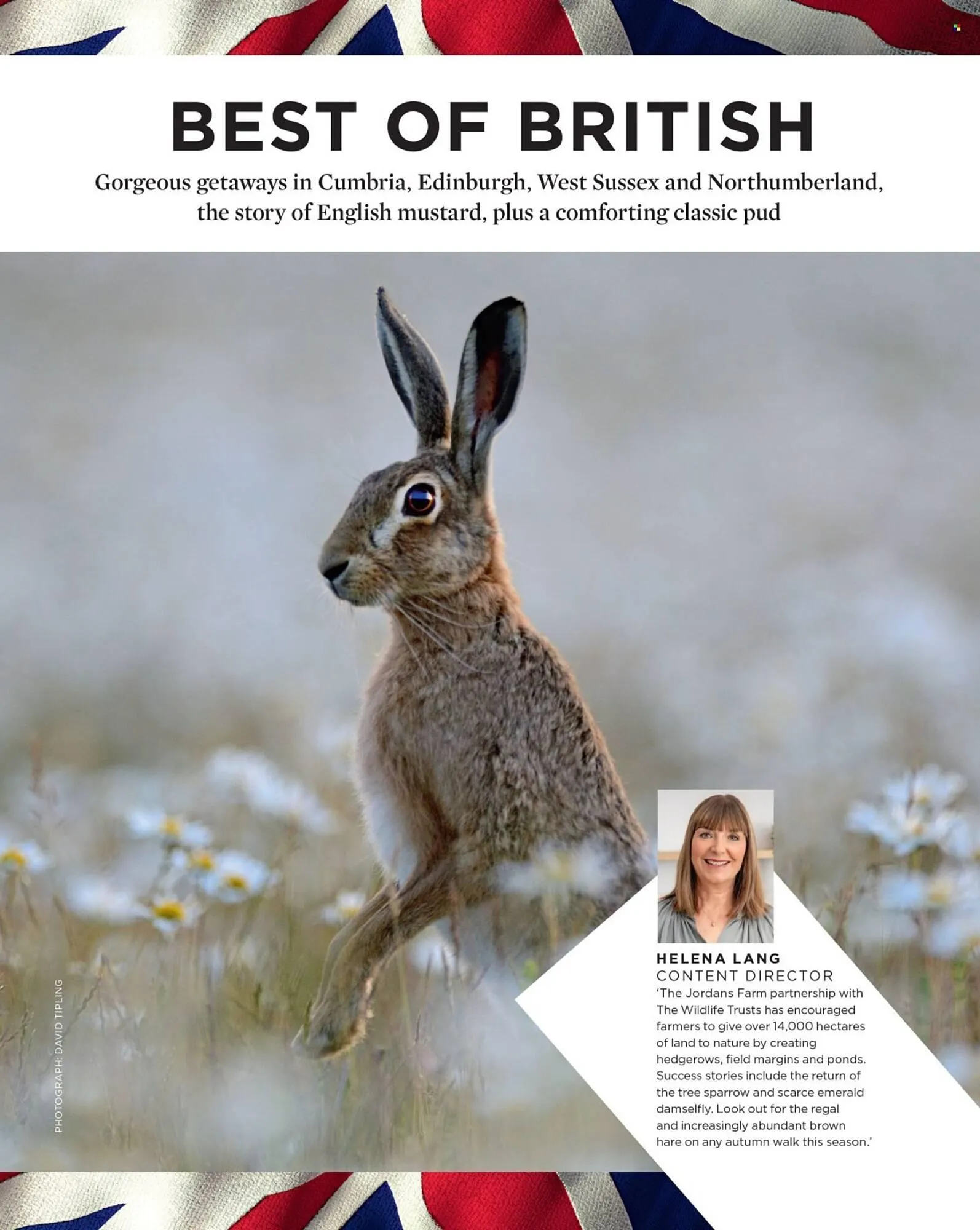 Sainsbury's leaflet from 1 October to 31 October 2025 - Catalogue Page 129