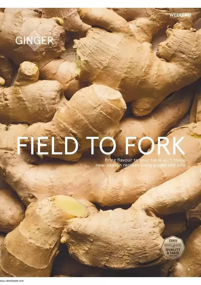 Tesco Magazine - March 2025 from 6 March to 31 March 2025 - Catalogue Page 19