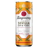 Tanqueray Flor de Sevilla Gin and Tonic