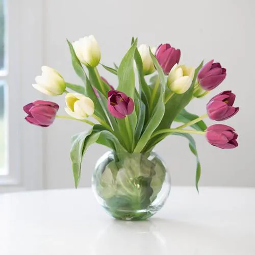 Bath Farmers Market Tulip Arrangement
