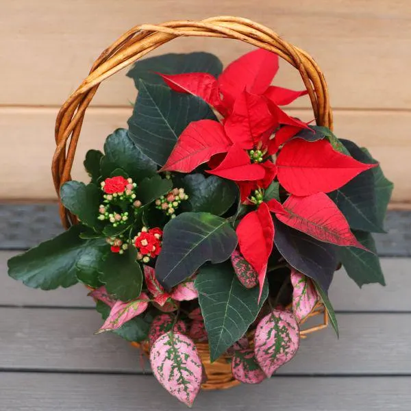 Indoors Winter Rustic Basket 20cm