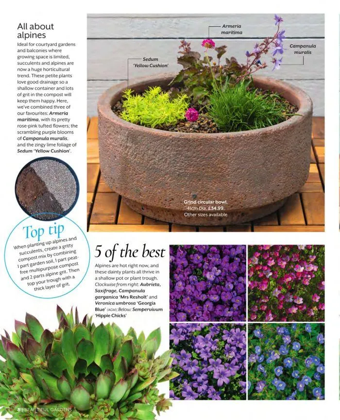 Spring 2024 from 11 March to 31 May 2024 - Catalogue Page 8