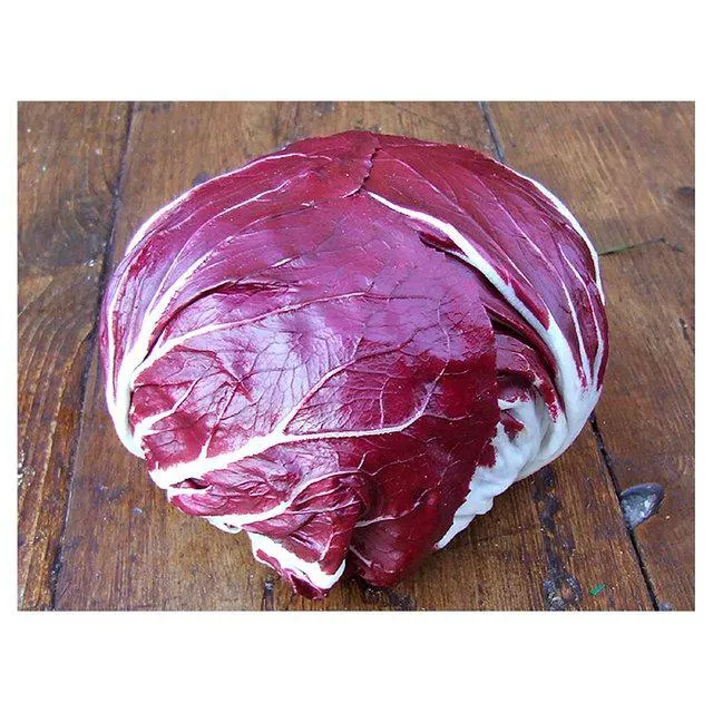 Natoora Italian Radicchio di Chioggia