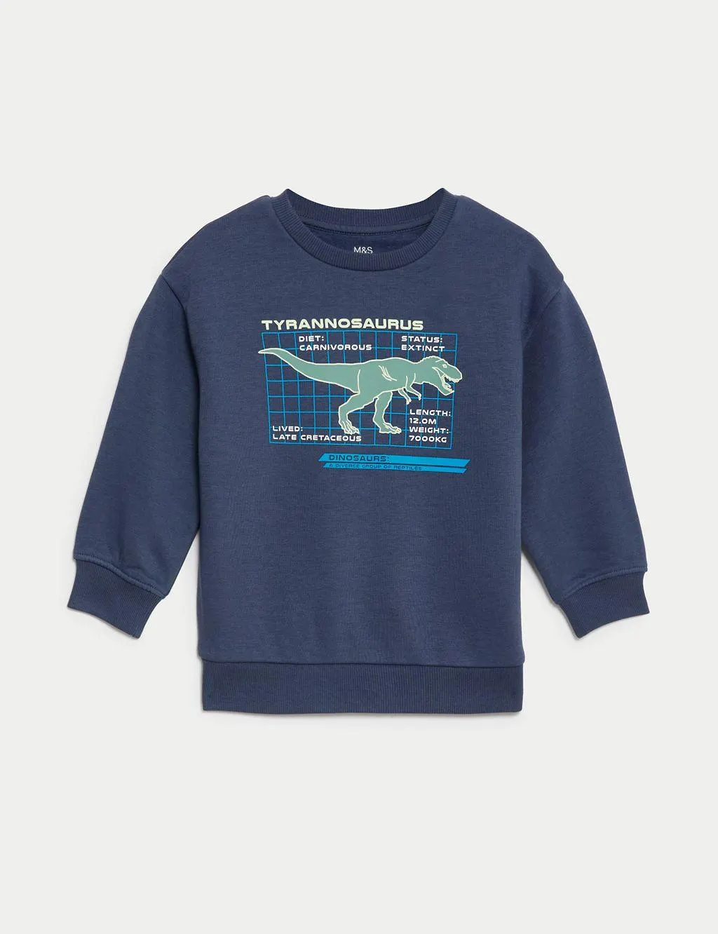 Cotton Rich Dinosaur Sweatshirt (2-8 Yrs)