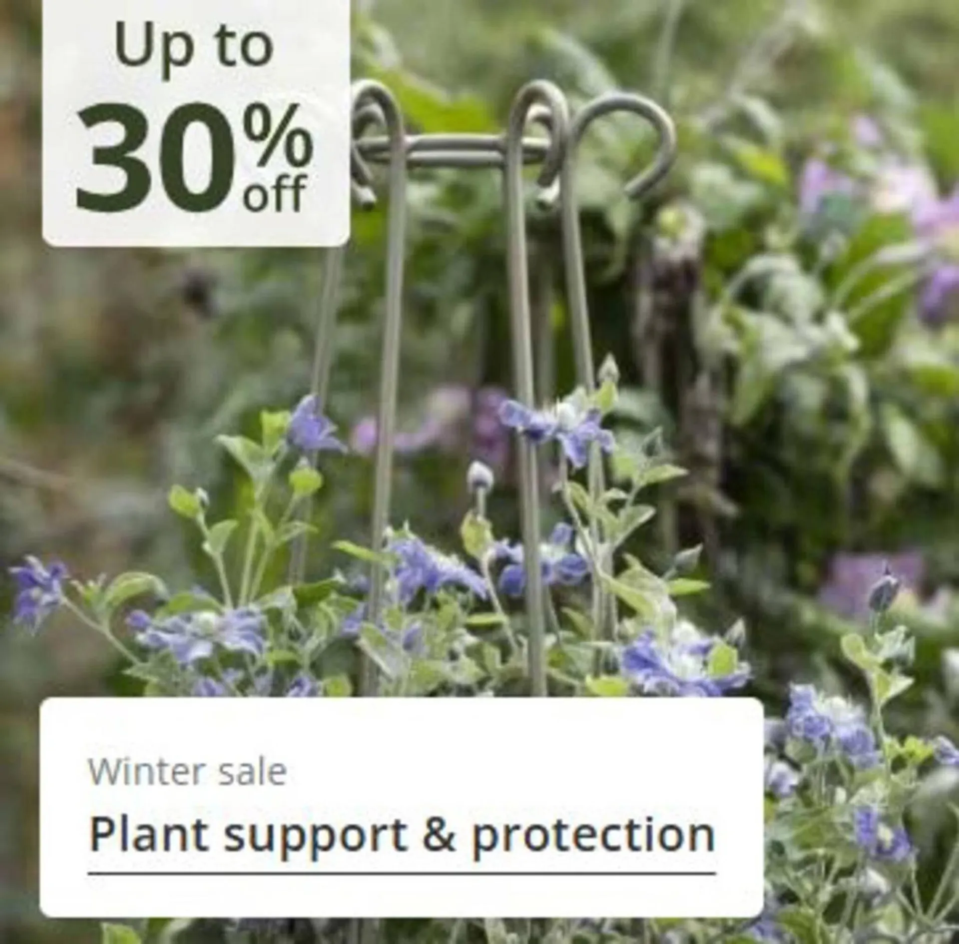 Crocus leaflet from 24 December to 8 January 2026 - Catalogue Page 15