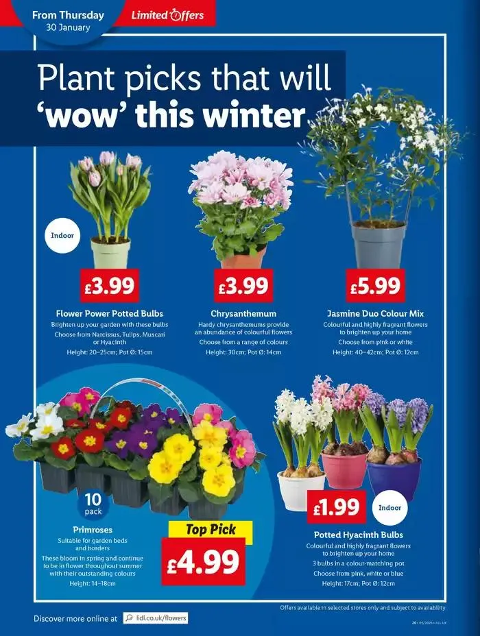 Discover attractive offers from 30 January to 5 February 2025 - Catalogue Page 20