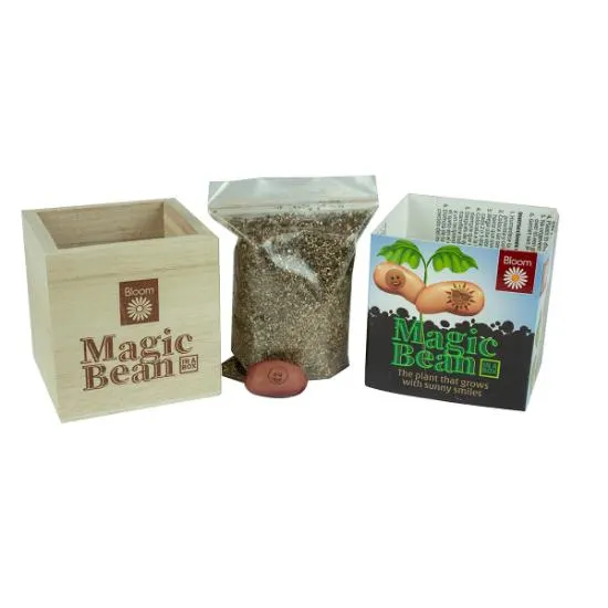 Magic Bean