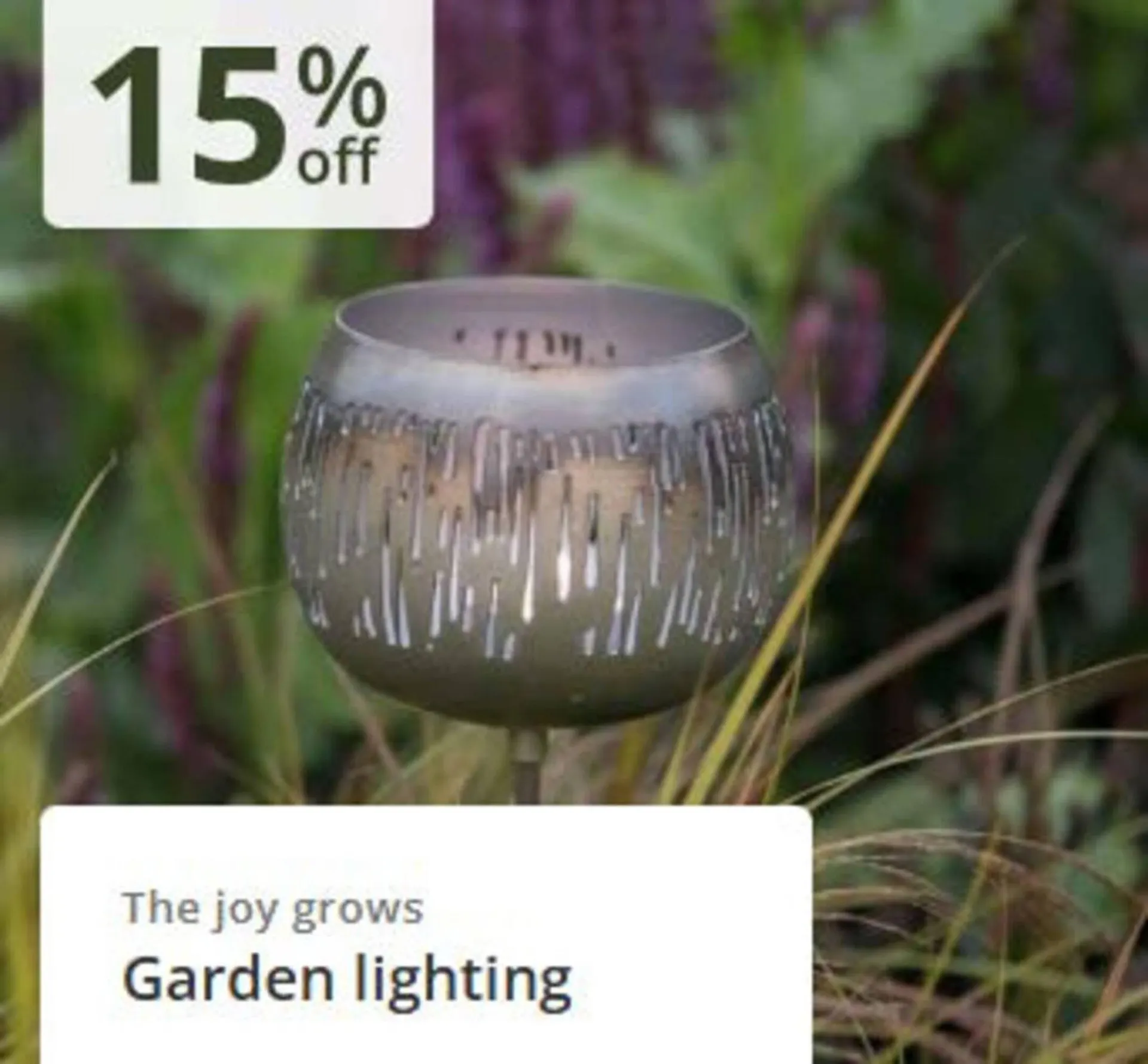 Crocus leaflet from 24 February to 16 March 2026 - Catalogue Page 7