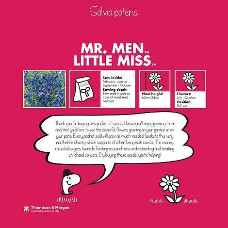 Mr. Men™ Little Miss™ Salvia patens - Seeds