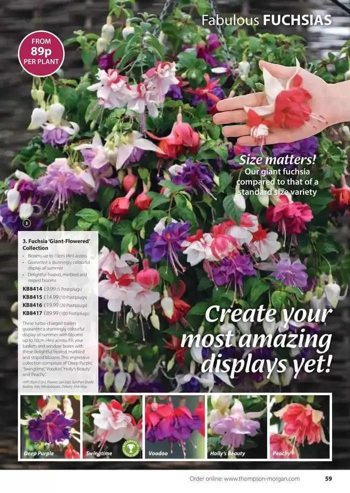 The Spring Catalogue from 20 March to 31 May 2025 - Catalogue Page 59