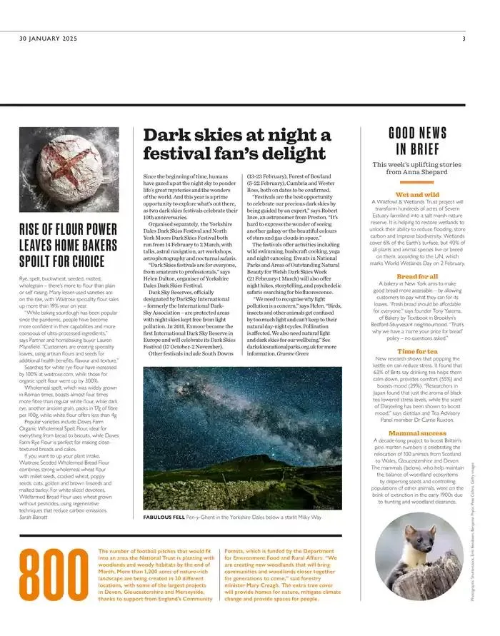 Centre Of Attention from 29 January to 11 February 2025 - Catalogue Page 3