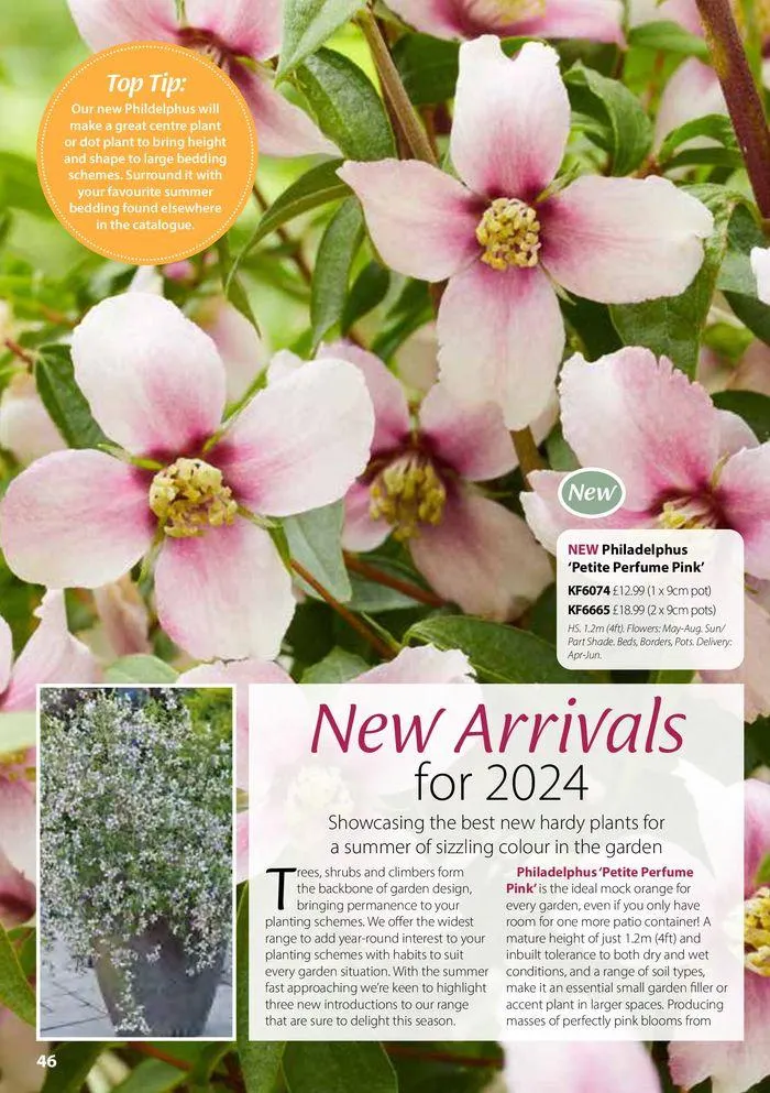 Spring Sale Catalogue from 2 May to 31 May 2024 - Catalogue Page 46