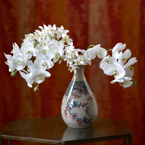 White Phalaenopsis Single Stem