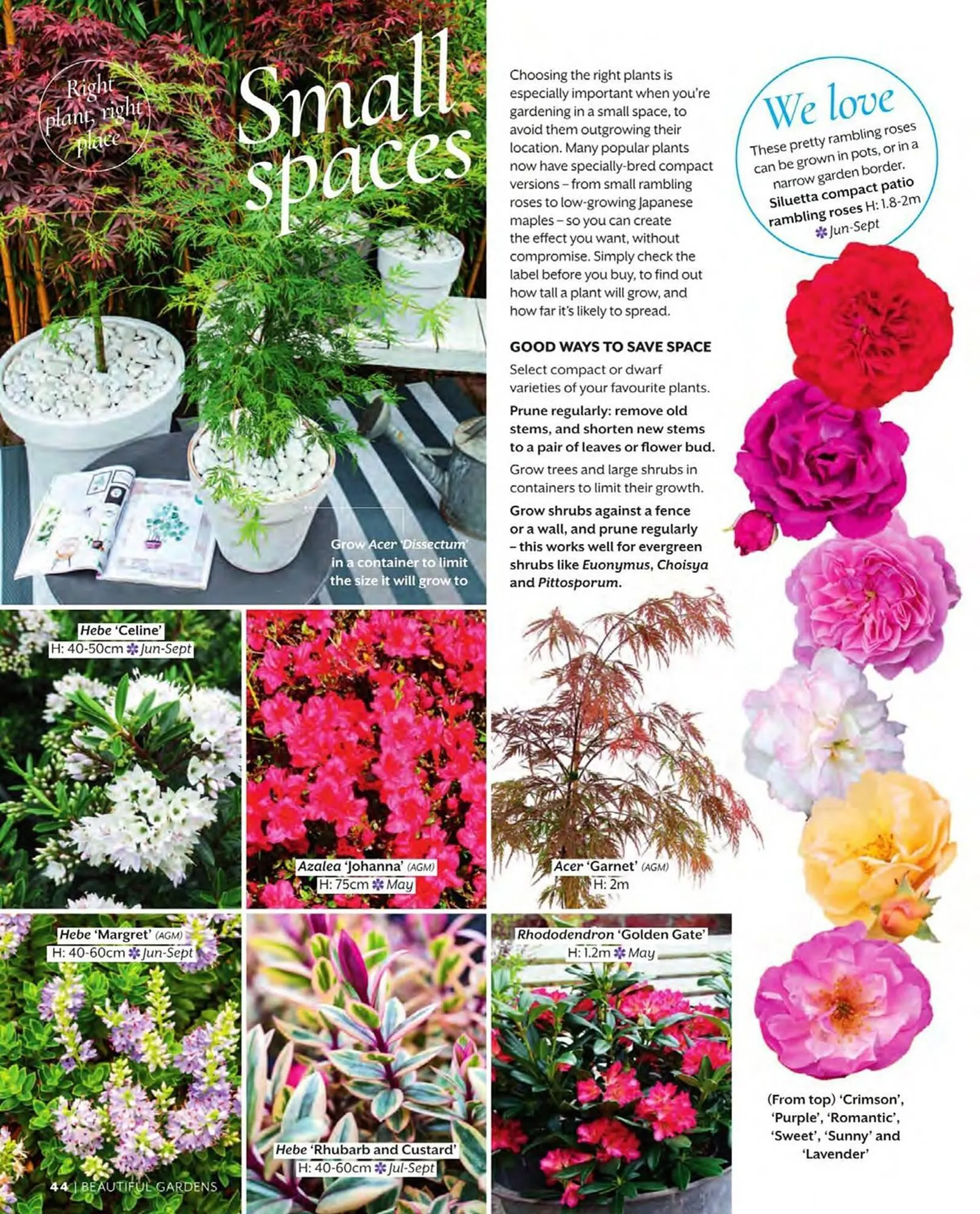 Squires Garden Centres leaflet from 1 March to 31 May 2024 - Catalogue Page 44