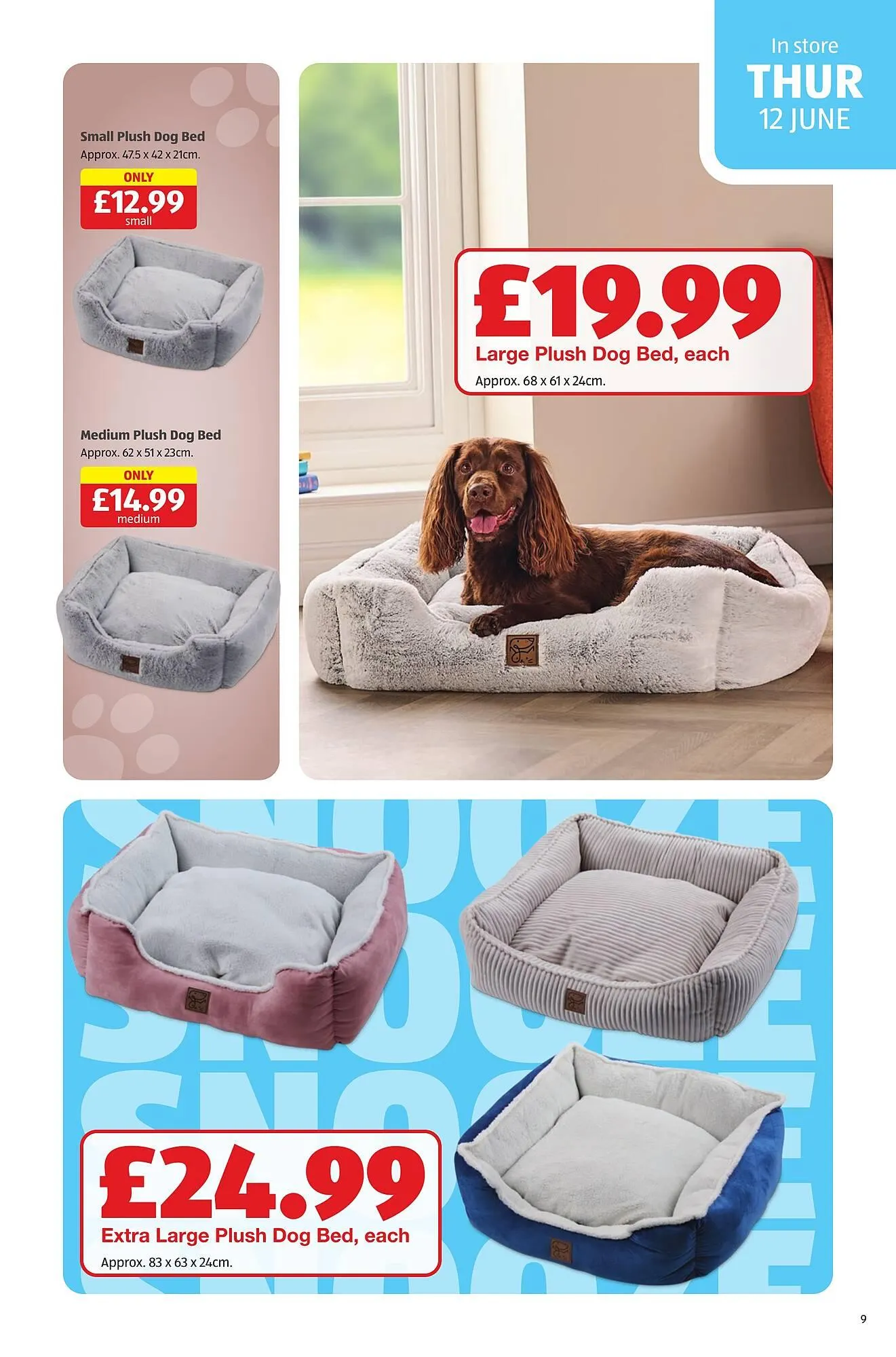 Aldi leaflet from 12 June to 15 June 2025 - Catalogue Page 9
