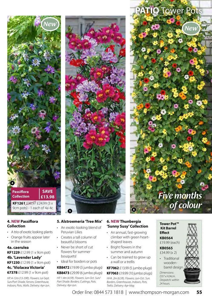 Spring Sale Catalogue from 2 May to 31 May 2024 - Catalogue Page 55