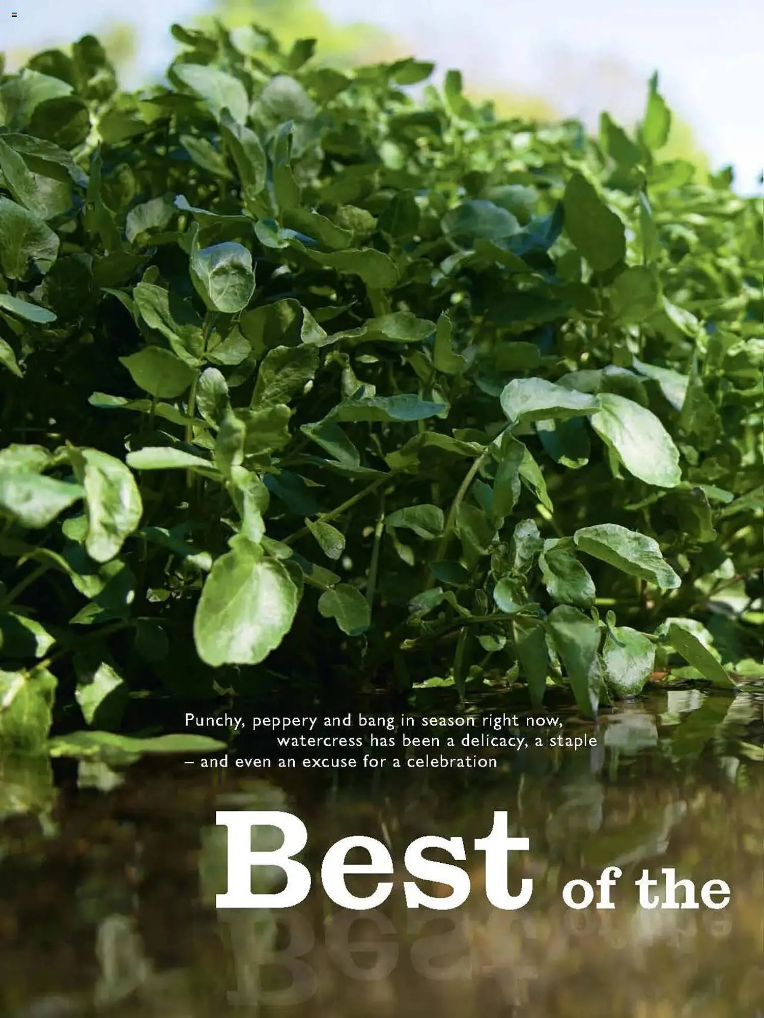 Waitrose leaflet from 1 May to 31 May 2025 - Catalogue Page 66