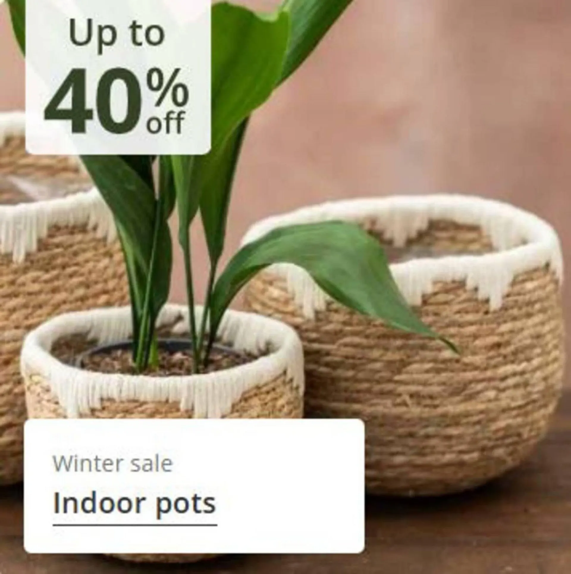 Crocus leaflet from 16 January to 12 February 2026 - Catalogue Page 8