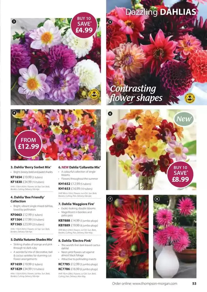The Spring Catalogue from 20 March to 31 May 2025 - Catalogue Page 53