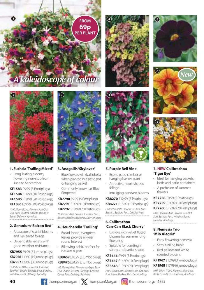 Spring Sale Catalogue from 2 May to 31 May 2024 - Catalogue Page 40