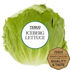 Tesco Iceberg Lettuce Each