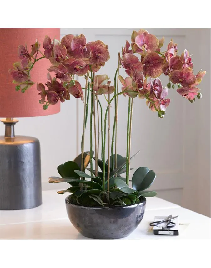Saturn Orchid Centrepiece in 1colour