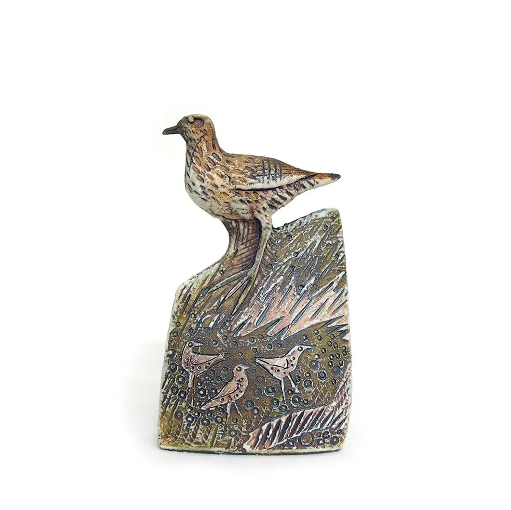 Golden Sands, Golden Plovers near Smoo Cave