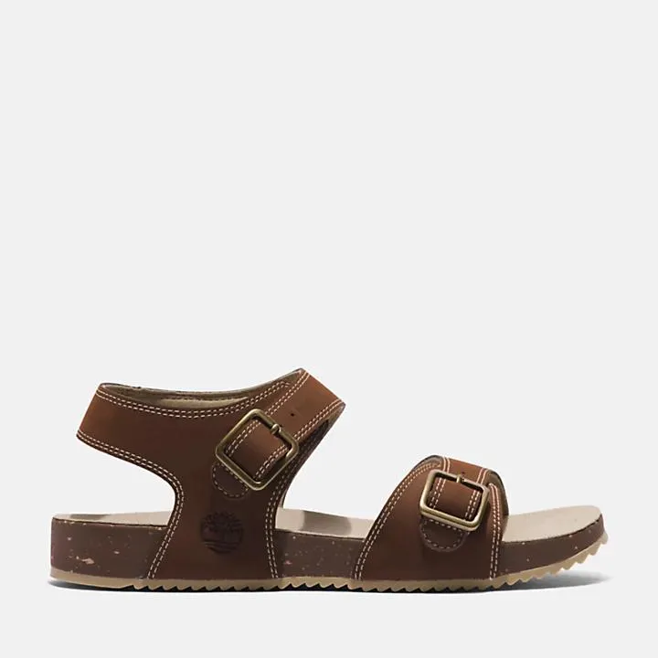 Castle Island Backstrap Sandal for Junior in Dark Brown