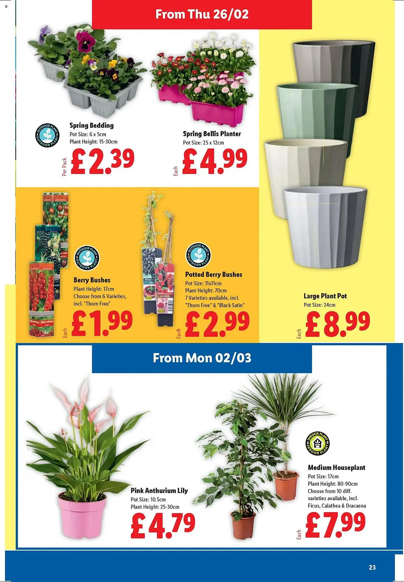 Lidl leaflet from 26 February to 4 March 2026 - Catalogue Page 23