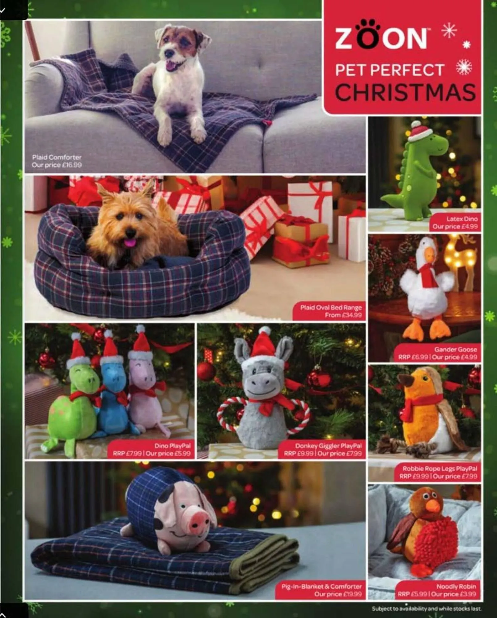 Squires Garden Centres leaflet from 24 October to 31 December 2025 - Catalogue Page 29