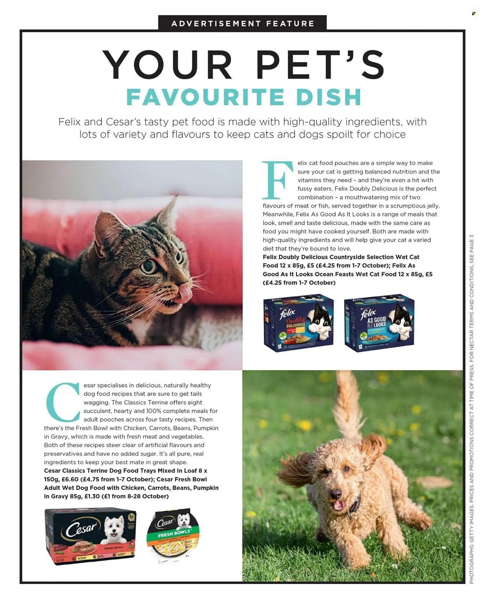 Sainsbury's leaflet from 1 October to 31 October 2025 - Catalogue Page 126