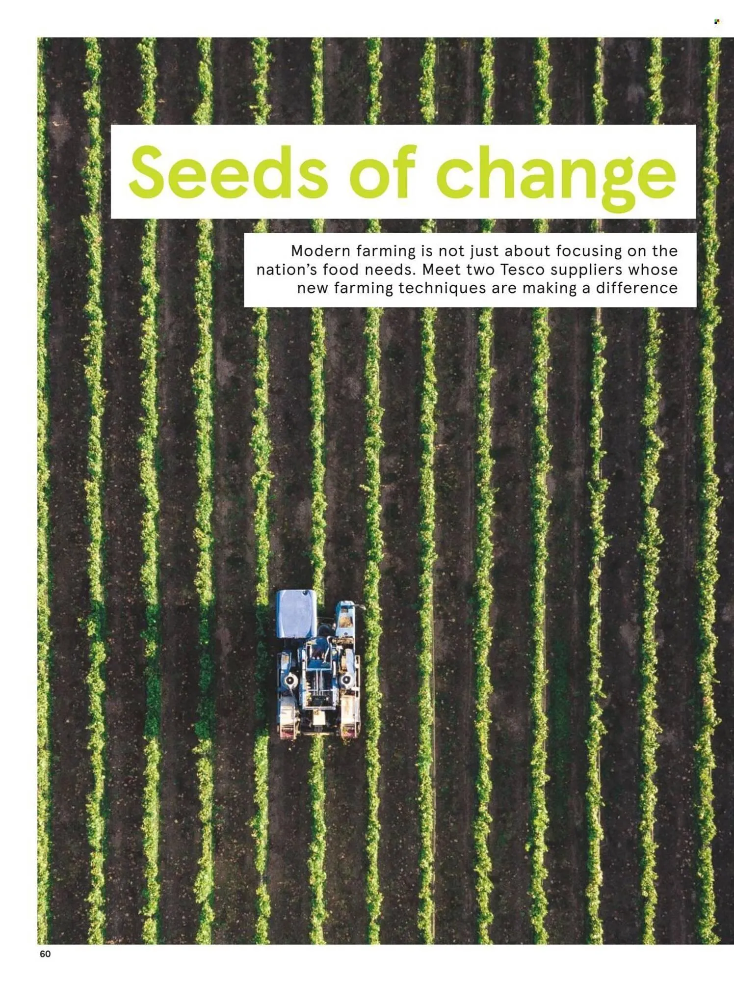 Tesco leaflet from 1 June to 5 July 2025 - Catalogue Page 60