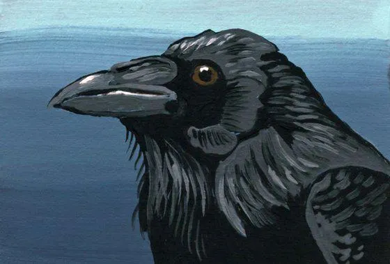 Crow Raven Bird (2023)