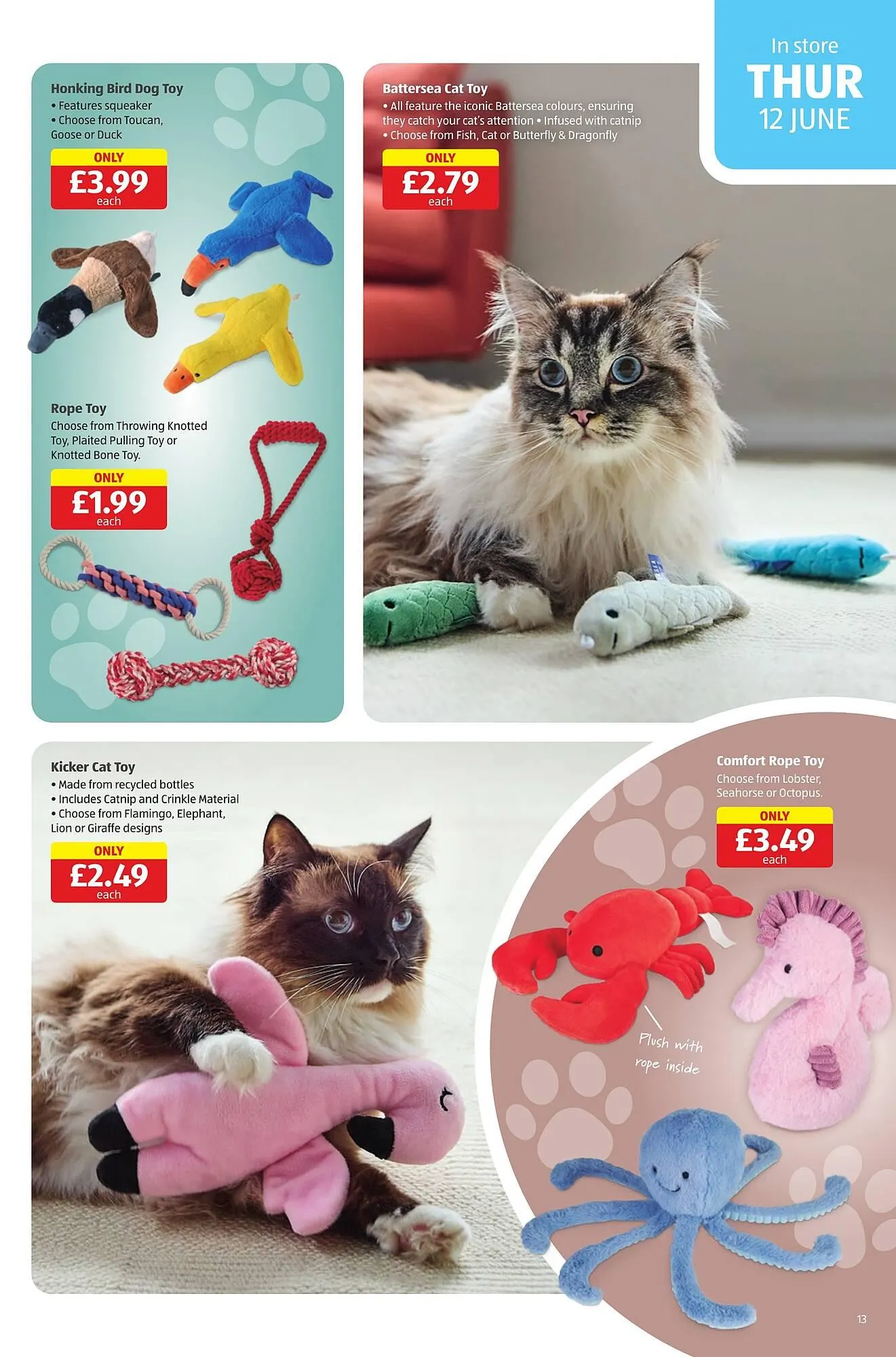 Aldi leaflet from 12 June to 15 June 2025 - Catalogue Page 13