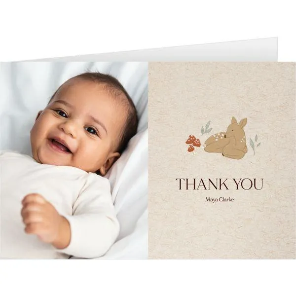 Cute animal illustrations