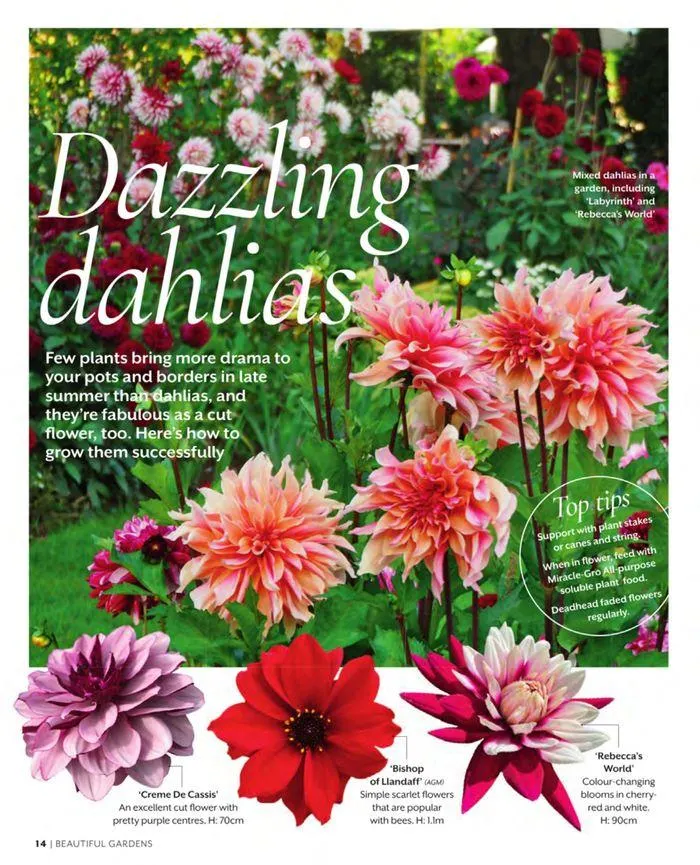 Spring 2024 from 11 March to 31 May 2024 - Catalogue Page 14