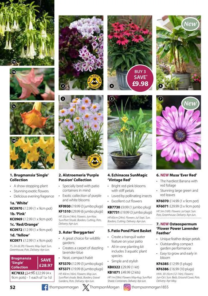 Spring Sale Catalogue from 2 May to 31 May 2024 - Catalogue Page 52
