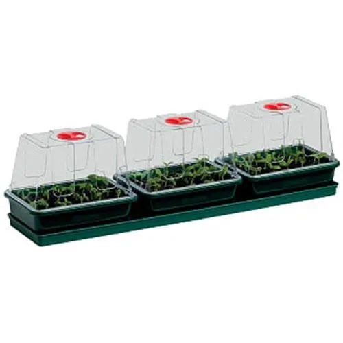 Three Top Windowsill Propagator