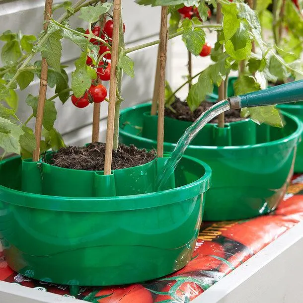 Hercul-Easy Plant Watering System (set of 3)