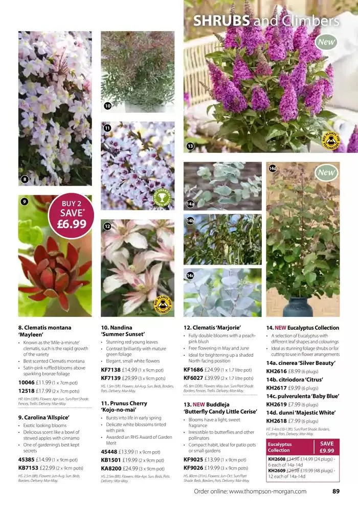 The Spring Catalogue from 20 March to 31 May 2025 - Catalogue Page 89
