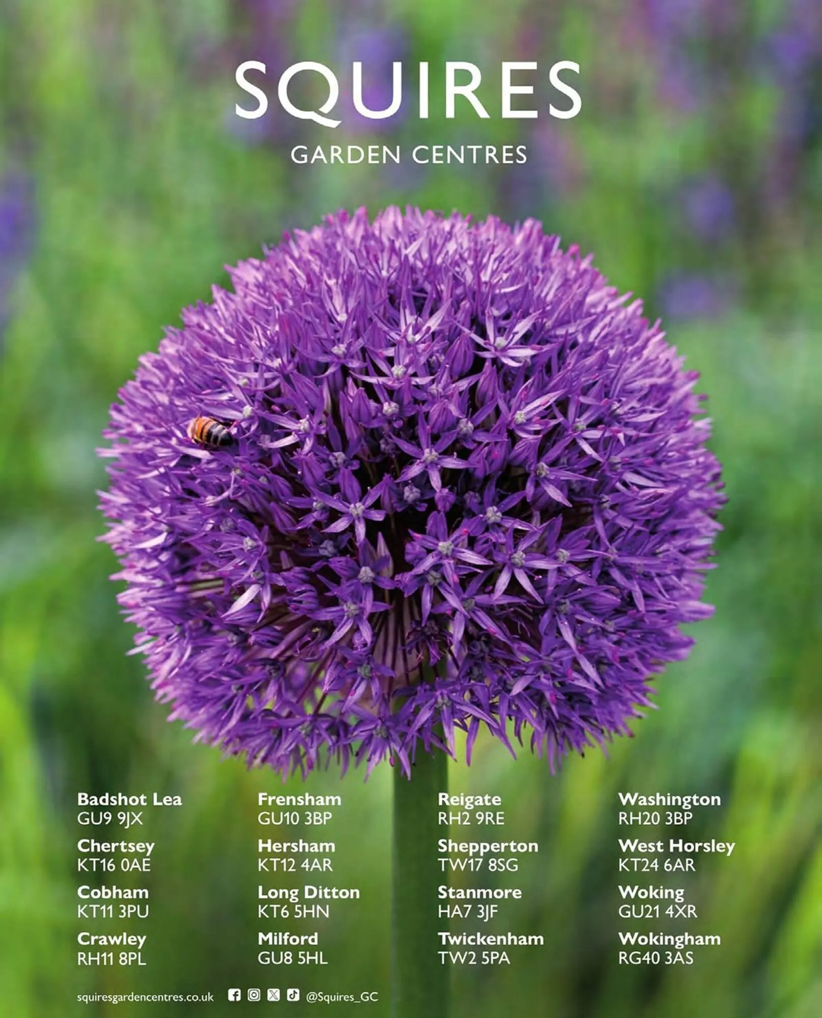 Squires Garden Centres leaflet from 1 March to 31 May 2024 - Catalogue Page 52