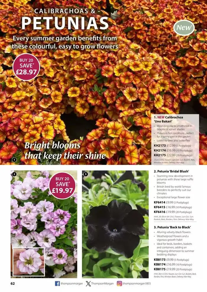 The Spring Catalogue from 20 March to 31 May 2025 - Catalogue Page 62
