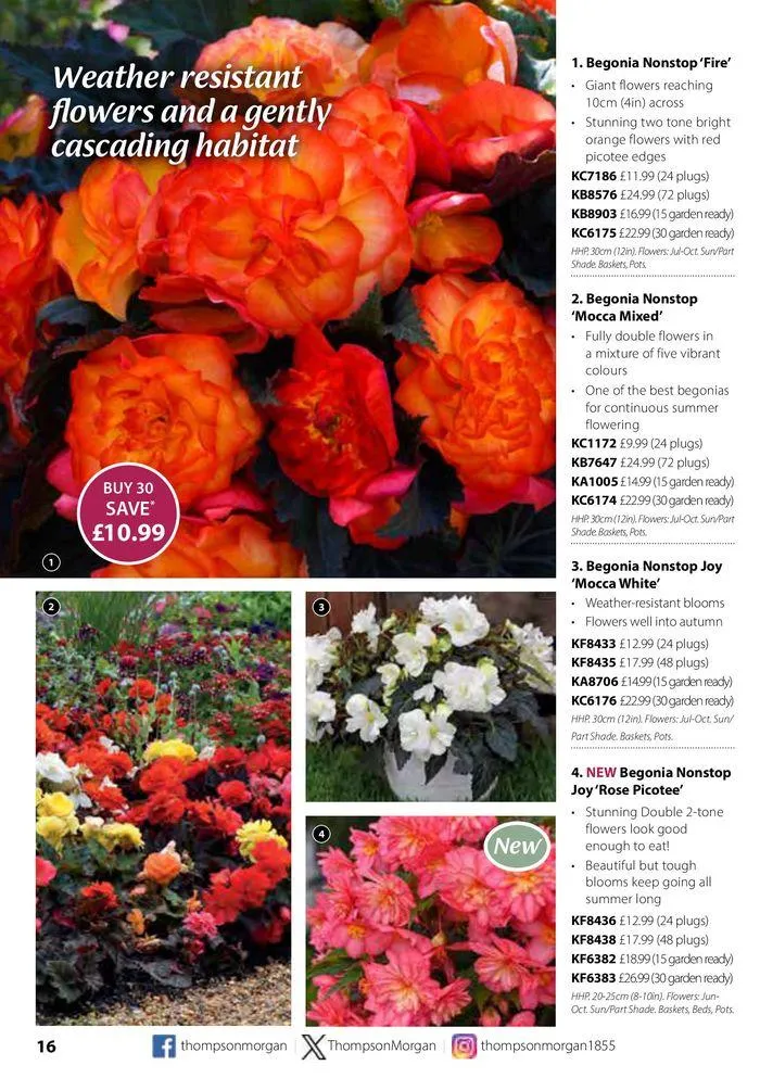 Spring Sale Catalogue from 2 May to 31 May 2024 - Catalogue Page 16